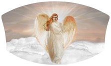 DNSWILL 118 BZ Angel Clouds Bronze